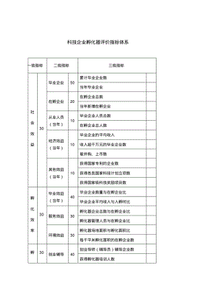 科技企业孵化器评价指标体系(表格).pdf