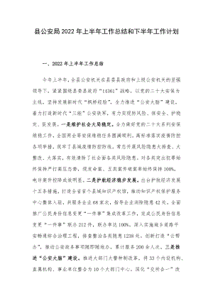 县公安局2022年上半年工作总结和下半年工作计划.docx