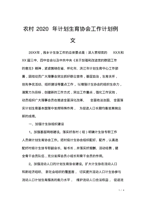 农村2020年计划生育协会工作计划例文.pdf