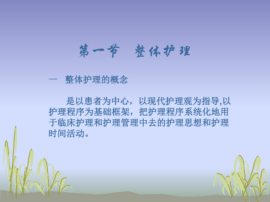 整体护理与护理程序ppt课件.ppt_第2页