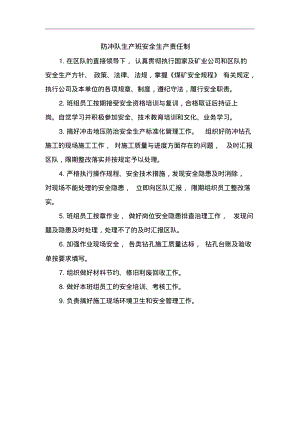 防冲队生产班安全生产责任制.pdf