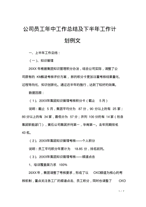 公司员工年中工作总结及下半年工作计划例文.pdf