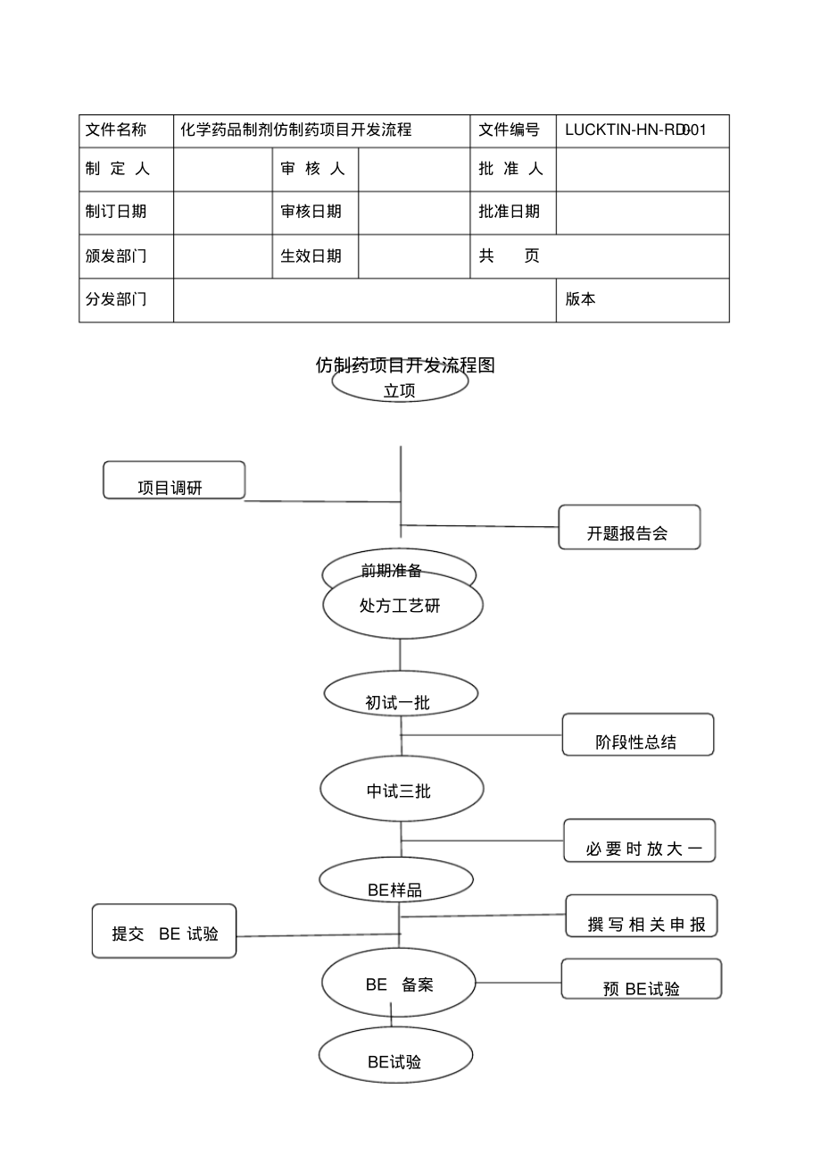 仿制药详细研发流程.pdf_第1页