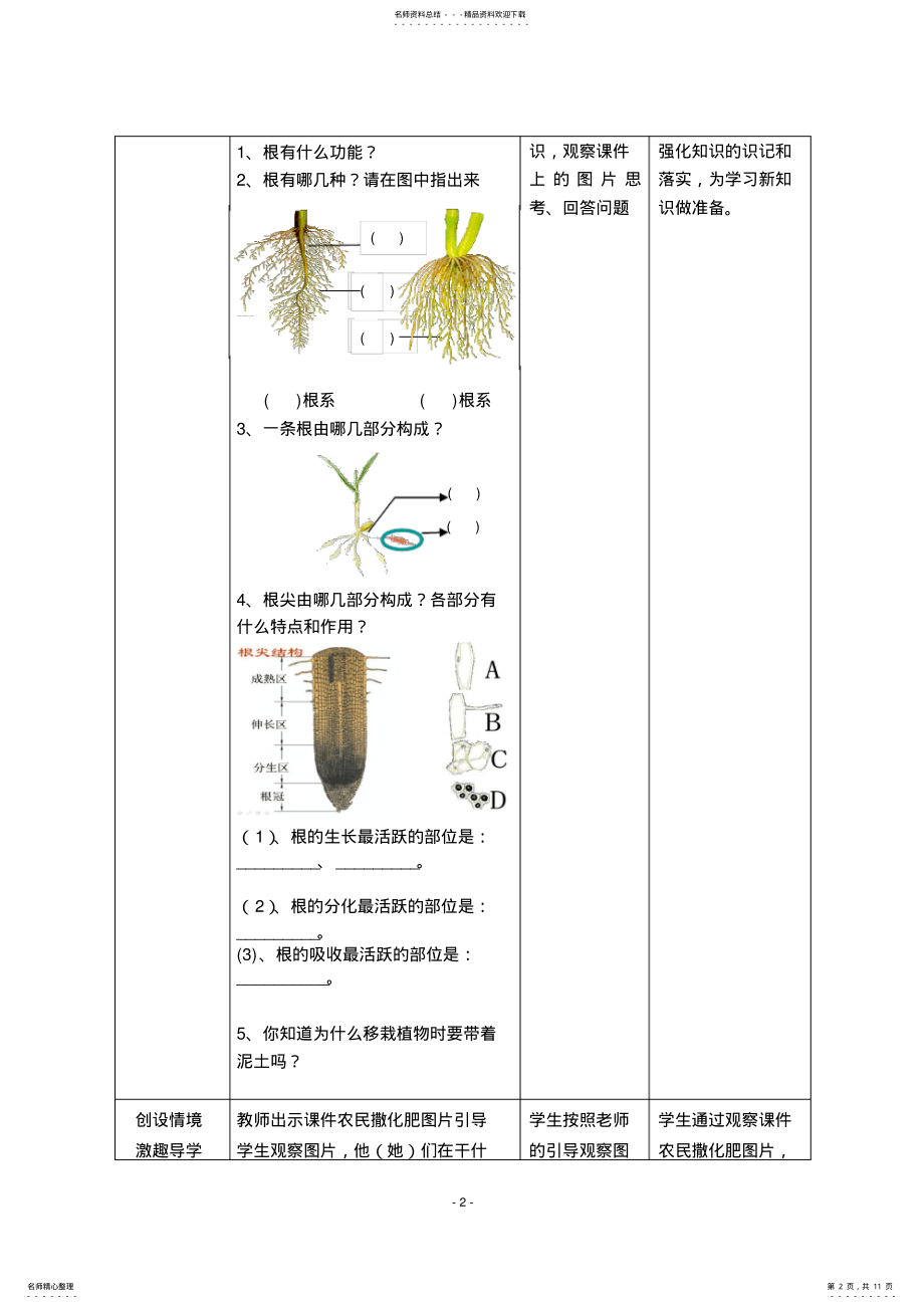 2022年2022年根的结构和功能 .pdf_第2页