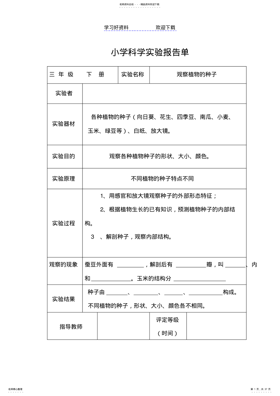 2022年2022年教科版小学三年级科学下册全册实验报告单 .pdf_第1页