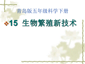 青岛版五年级科学下册15生物繁殖新技术ppt课件.ppt