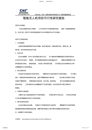 2022年智能无人机项目可行性研究报告 .pdf