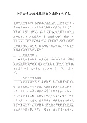 公司党支部标准化规范化建设工作总结.docx