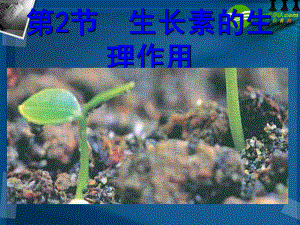 高中生物32生长素的生理作用ppt课件新人教版必修.ppt