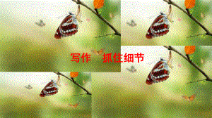 七年级语文写作：细节描写ppt课件.pptx