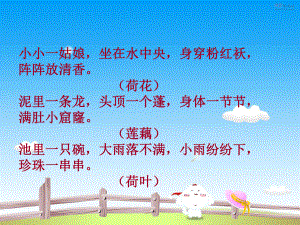 综合性学习莲.ppt