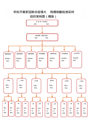 学校开展新冠肺炎疫情大规模核酸检测采样组织架构图(模版).pdf