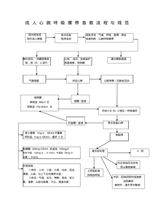 成人心跳呼吸骤停急救流程规范.pdf