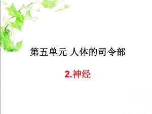 苏教版五年级下册科学《神经》ppt课件.ppt