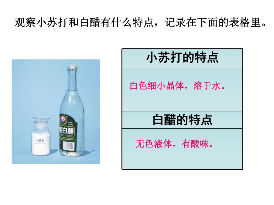 教科版科学六年级下册《小苏打与白醋的变化》ppt课件.ppt_第2页