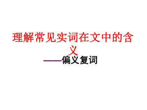 偏义复词-讲解加例子ppt课件.ppt