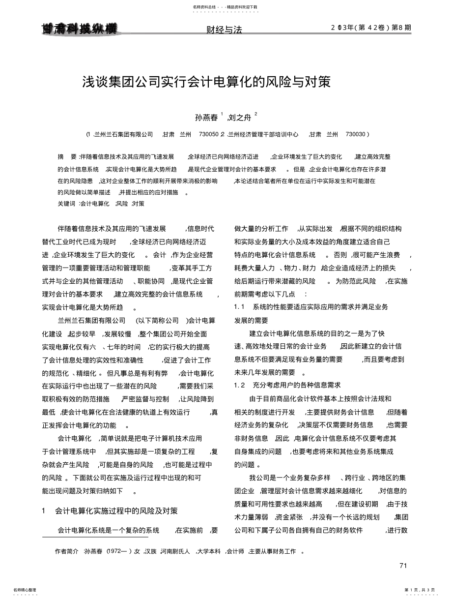 2022年2022年集团公司实行会计电算化的风险与对策 .pdf_第1页