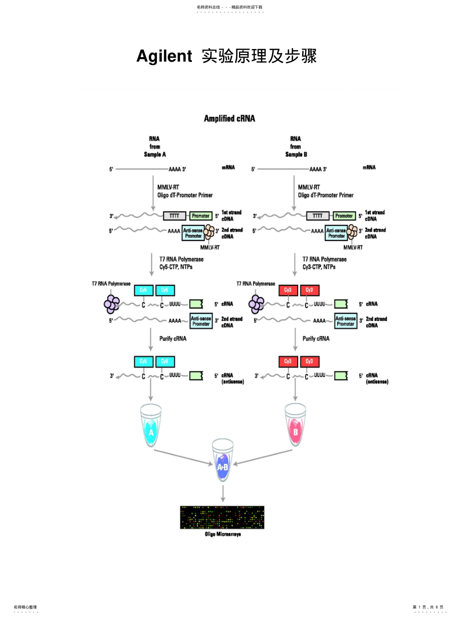 2022年Agilent实验原理及步骤[收 .pdf_第1页