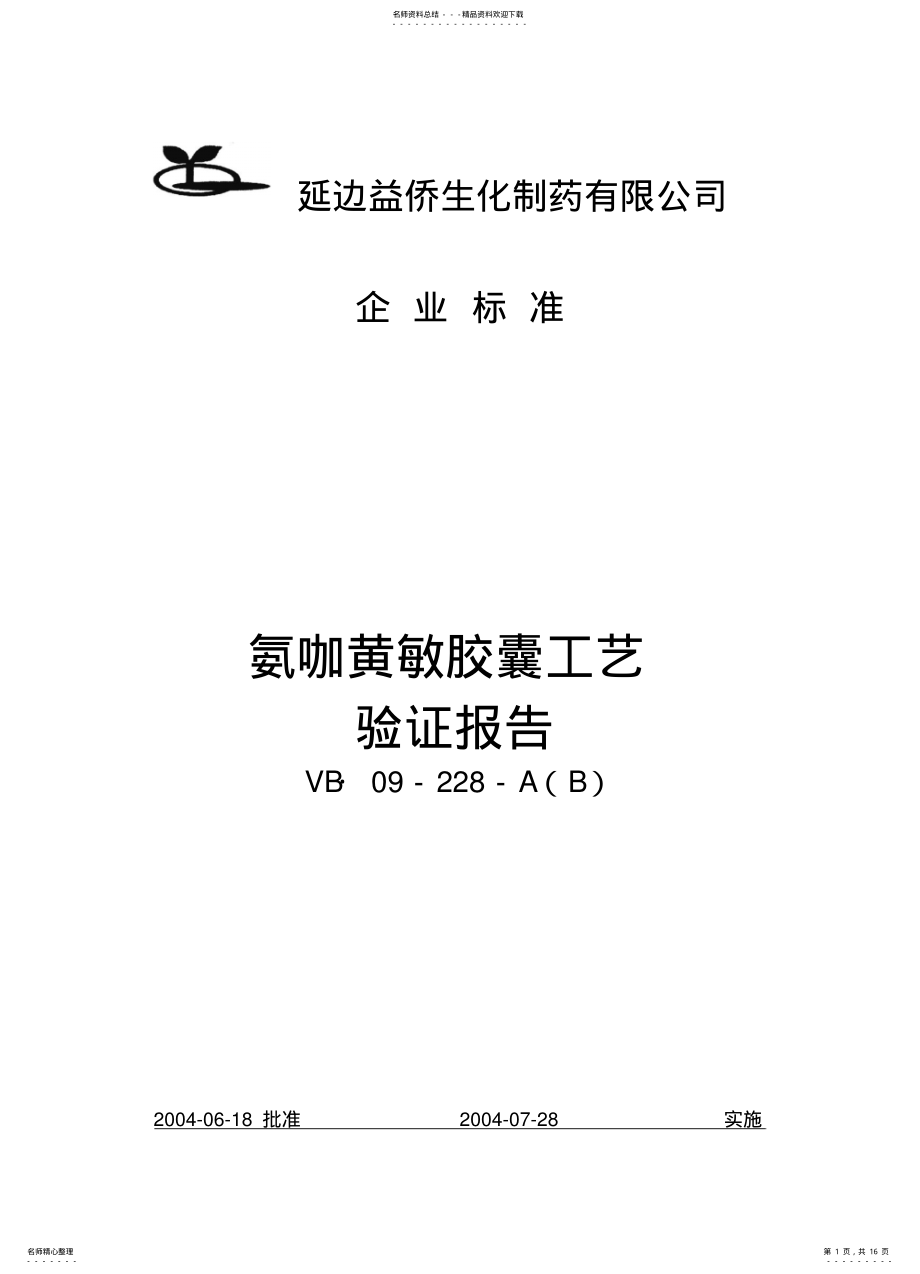 2022年氨咖黄敏胶囊工艺验证报告 .pdf_第1页