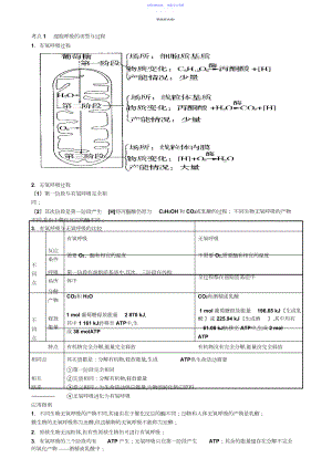 2022年ATP的主要来源细胞呼吸知识点.docx