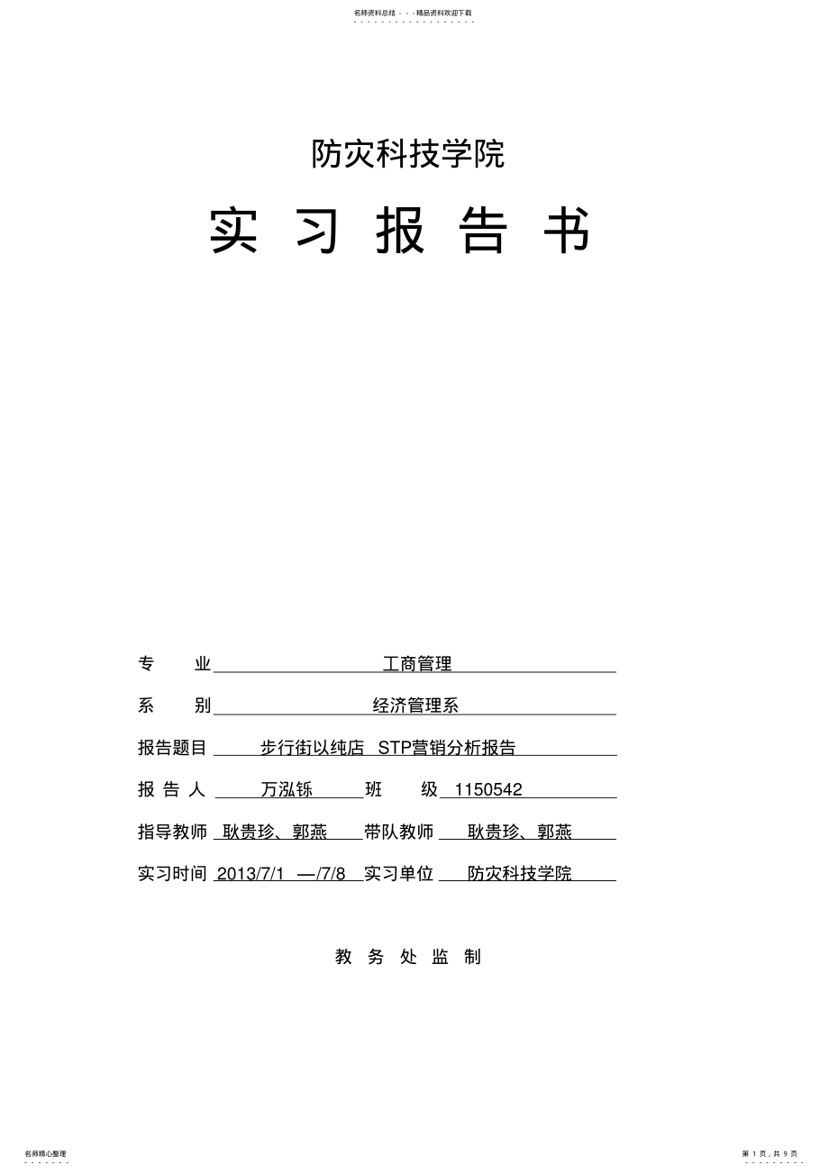 2022年步行街以纯店STP营销分析报告书 .pdf_第1页