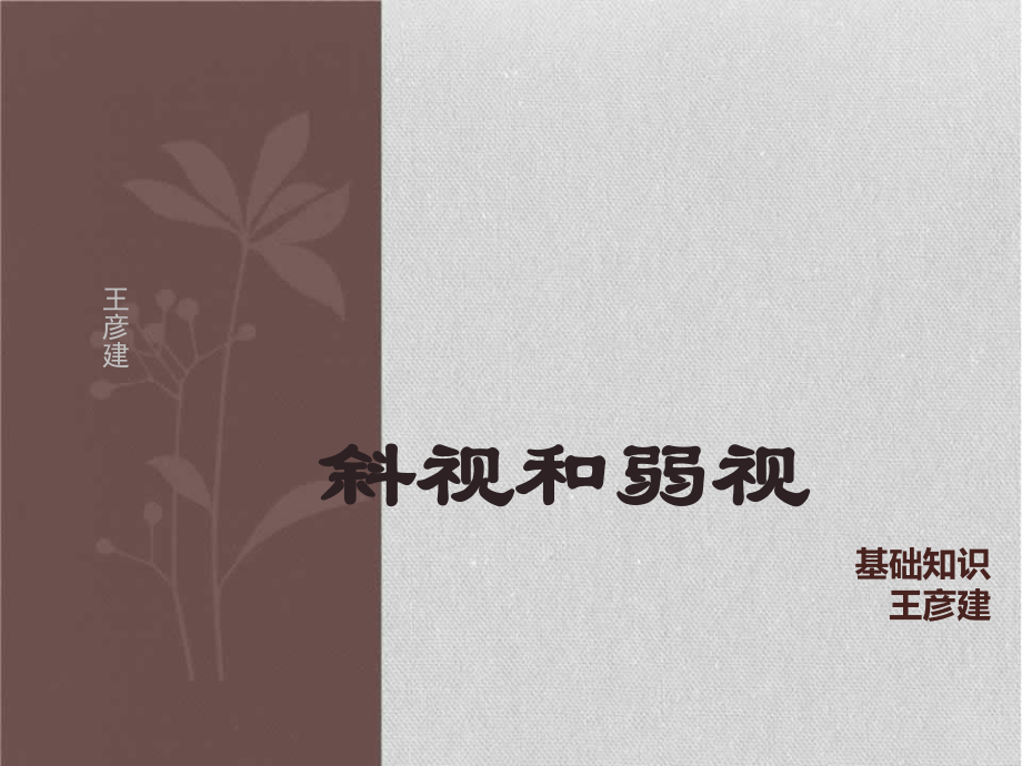 斜弱视的检查与治疗ppt课件.ppt_第1页