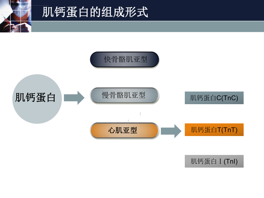 心肌肌钙蛋白的升高在临床中的ppt课件.ppt_第2页