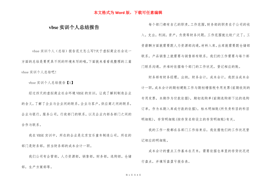 vbse实训个人总结报告.docx_第1页