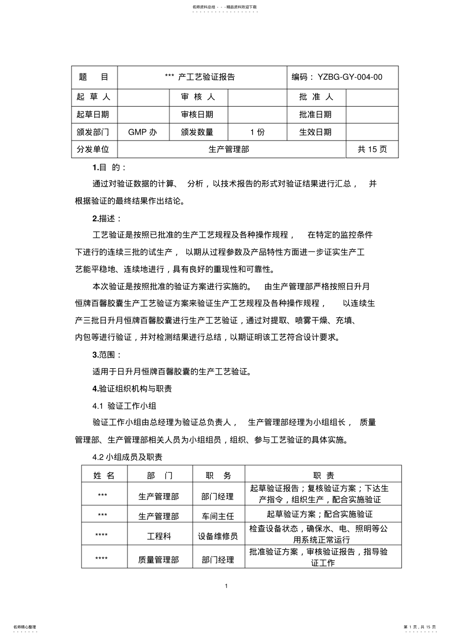 2022年2022年胶囊工艺验证验证报告 .pdf_第1页