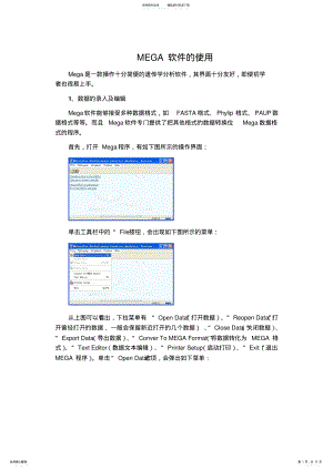 2022年MEGA软件的使用 .pdf