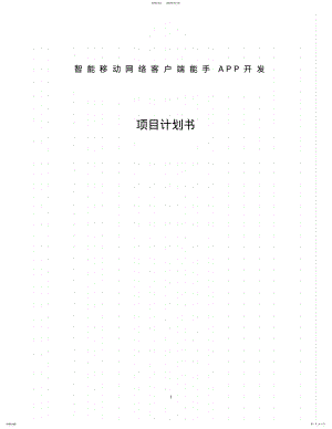 2022年APP项目开发商业计划书 .pdf