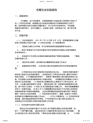 2022年毛概社会实践报告借鉴 .pdf