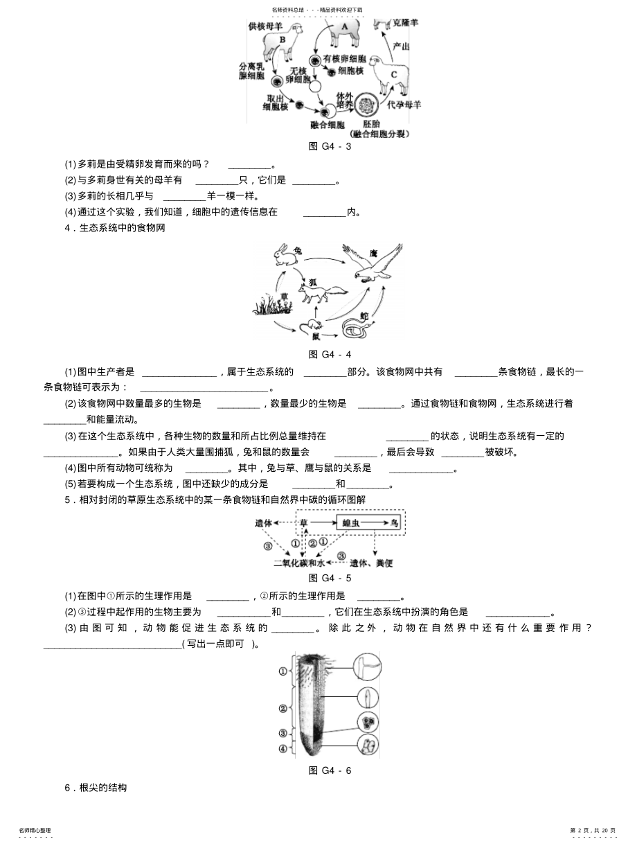 2022年最新初中生物高频考点汇 .pdf_第2页