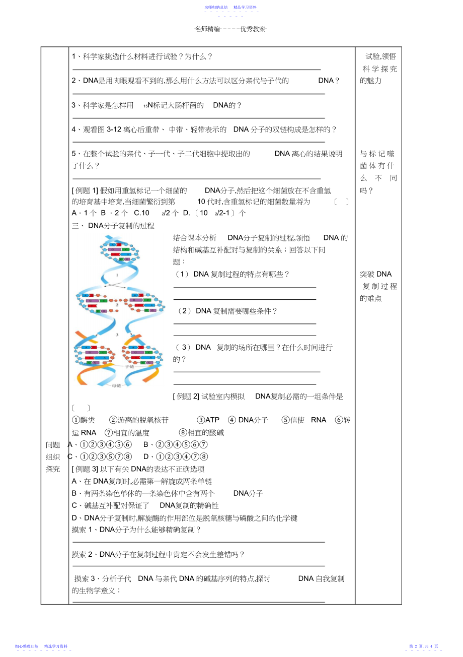 2022年DNA的复制导学案.docx_第2页