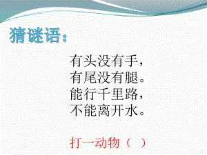 鱼儿游游1 (2).ppt