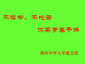 努力拼搏-迎接中考全解ppt课件.ppt