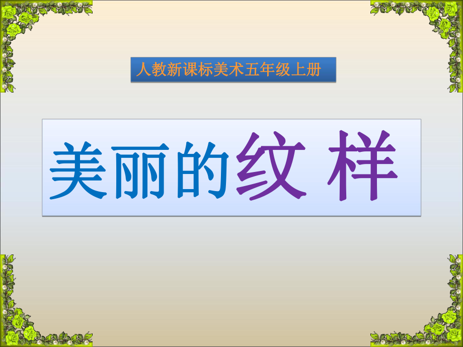 《美丽的纹样》ppt课件.ppt_第1页