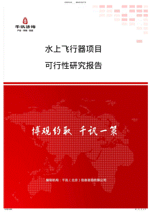 2022年水上飞行器项目可行性研究报告 .pdf