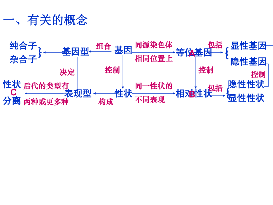 孟德尔遗传定律复习ppt课件.ppt_第2页