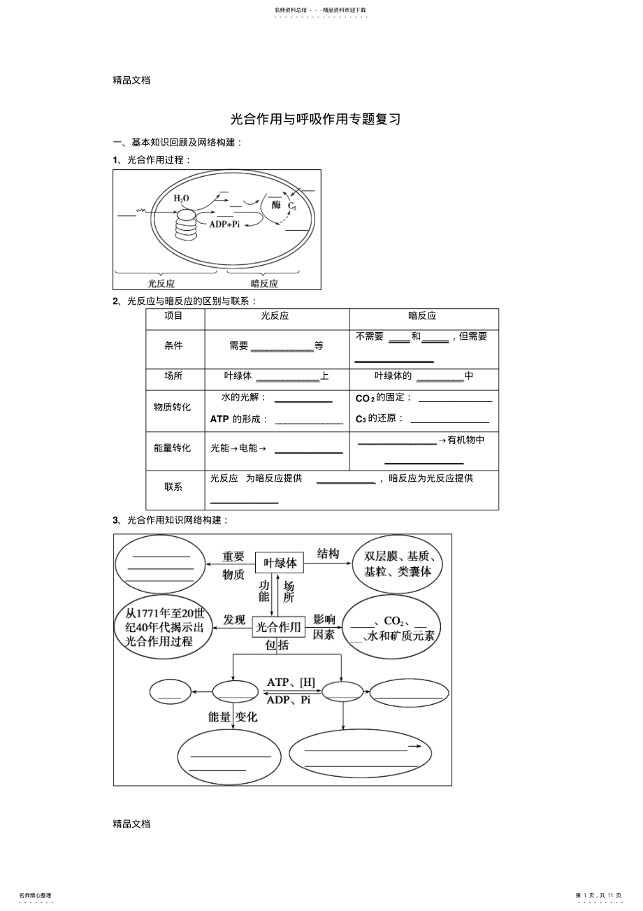 2022年最新光合作用与呼吸作用专题复习 .pdf_第1页