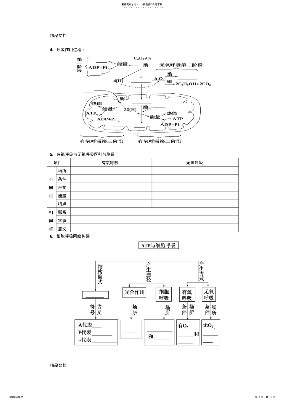 2022年最新光合作用与呼吸作用专题复习 .pdf_第2页