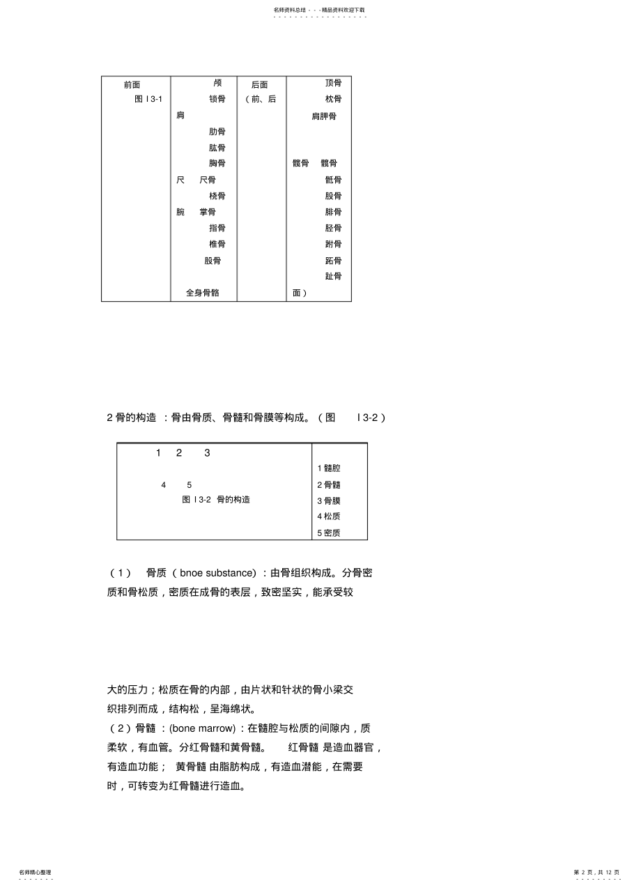 2022年2022年骨与骨连接 .pdf_第2页