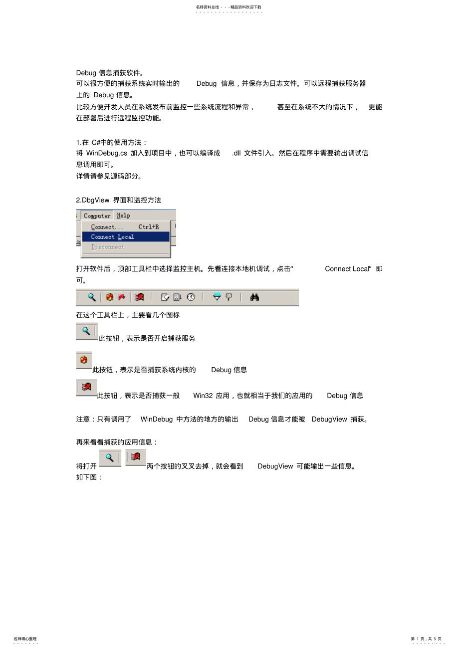 2022年DebugView图文教程 .pdf_第1页