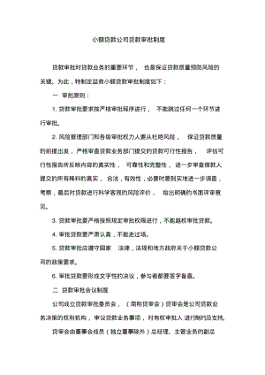 小额贷款公司贷款审批制度.pdf