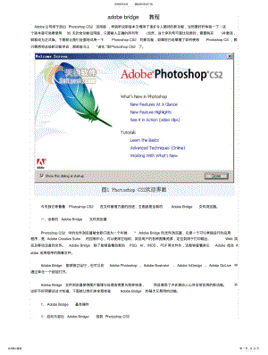 2022年adobebridge教程 .pdf