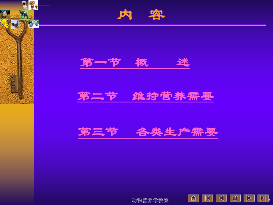 动物营养与饲料学ppt课件.ppt_第2页