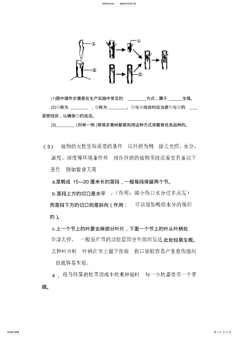 2022年最新整理人教版八年级生物下册知识点总结 2.pdf_第2页