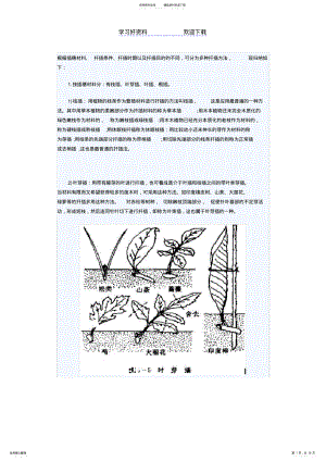 2022年2022年花卉扦插繁殖方法大全 .pdf