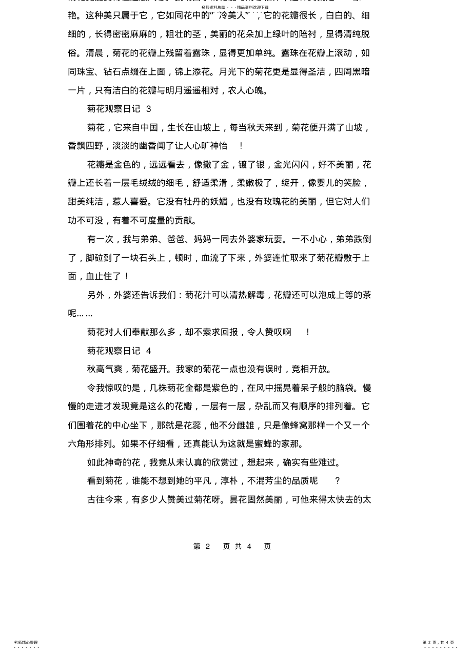 2022年2022年观察日记菊花日记字精选 .pdf_第2页