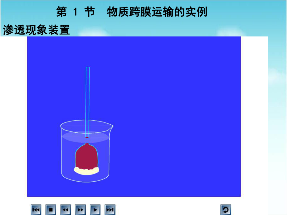 《植物细胞的吸水和失水》实验探究ppt课件.ppt_第2页